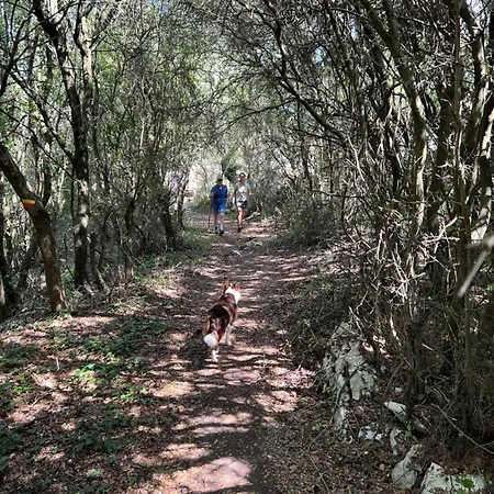 Quinta Do Espelho D'agua, Estudio *